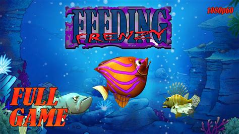 feeding frenzy poker|MSN Games.